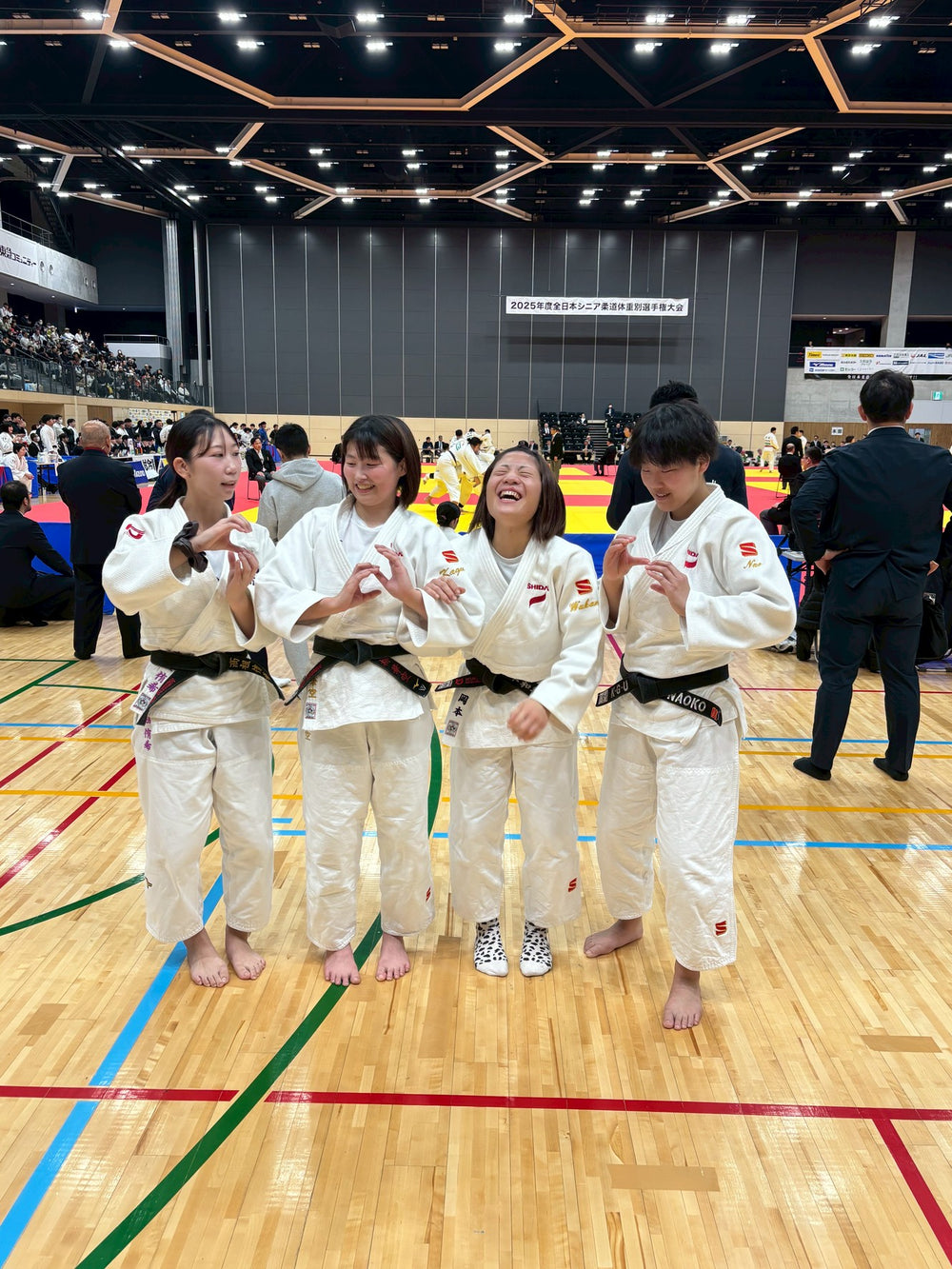 multimedia collage image