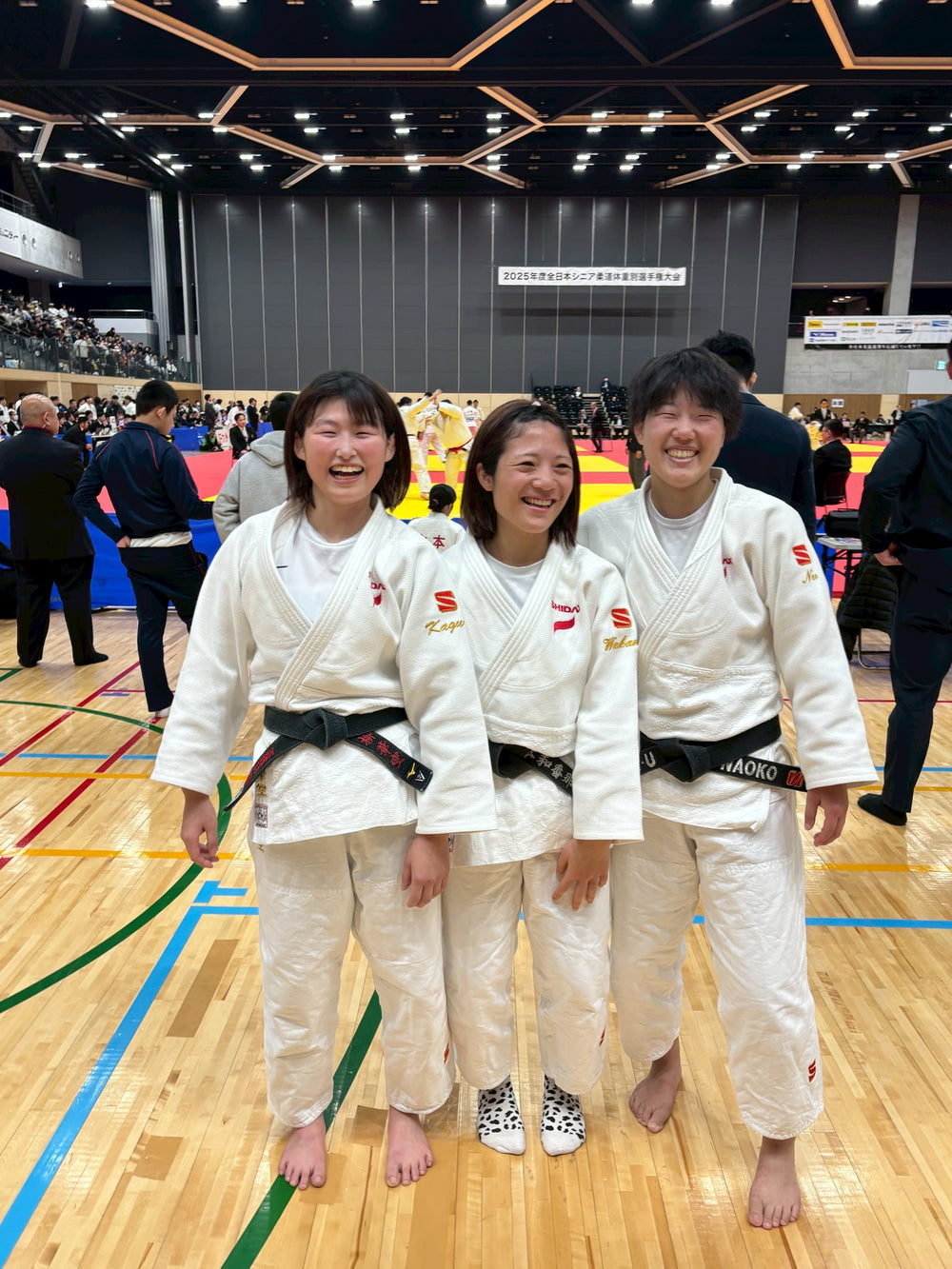 multimedia collage image